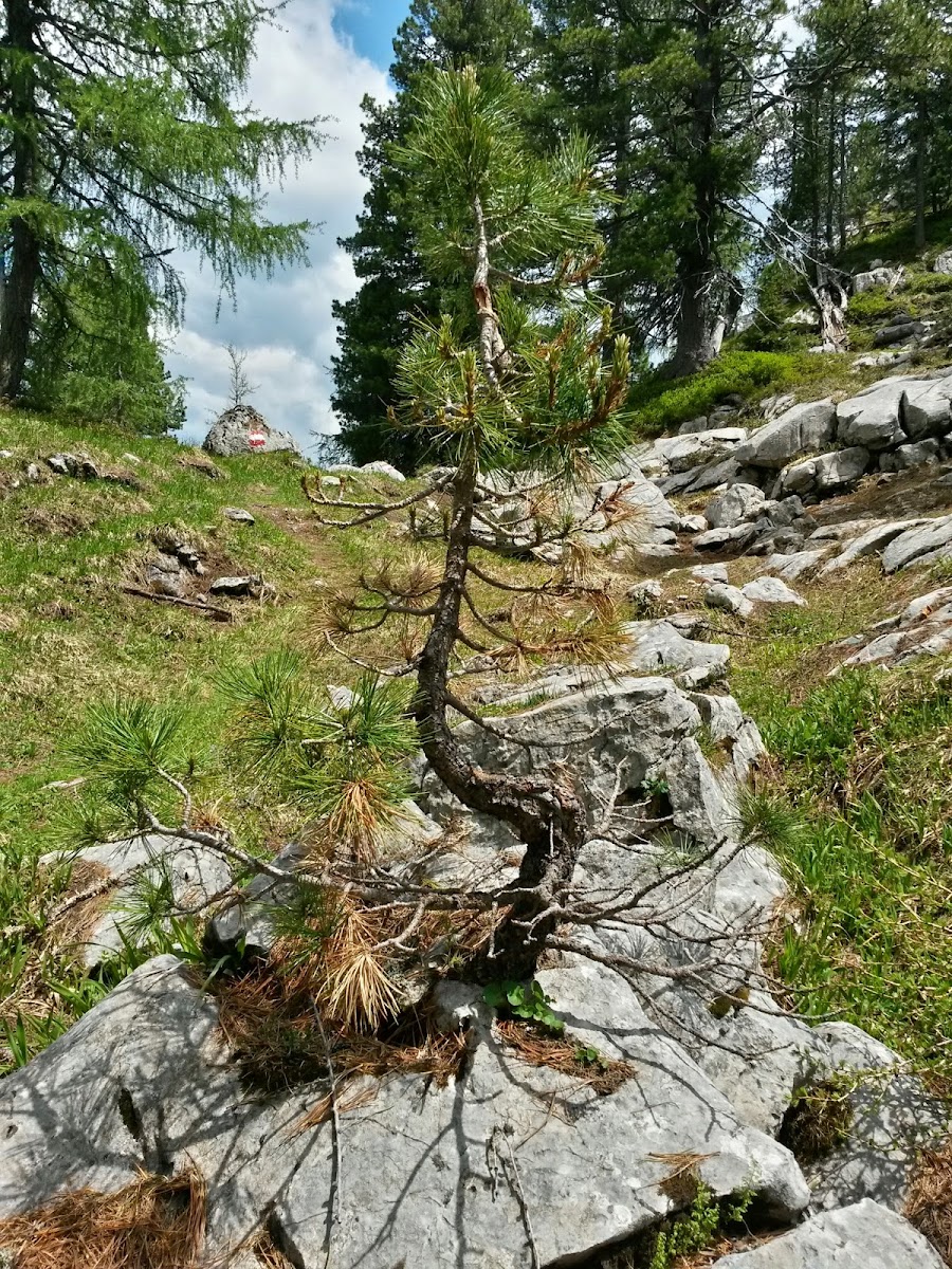 lh4.googleusercontent.com_-2ksm-_jhcyc_u6hobdtjgzi_aaaaaaaaaxs_tmzjvlxmhdq_w900-h1200-no_20140618_125920_richtone_2528hdr_2529.jpg lh4.googleusercontent.com_-2ksm-_jhcyc_u6hobdtjgzi_aaaaaaaaaxs_tmzjvlxmhdq_w900-h1200-no_20140618_125920_richtone_2528hdr_2529.jpg