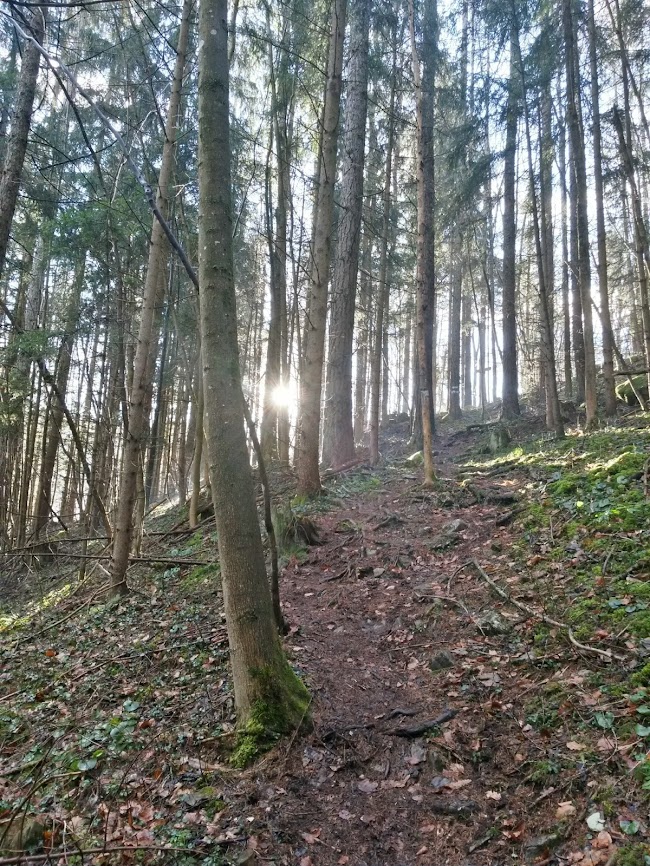 lh4.googleusercontent.com_-yc0tlppfwje_uvzkujgpz1i_aaaaaaaavj0_1rthp4r2eyu_w650-h866-no_20140208_091032_richtone_2528hdr_2529.jpg lh4.googleusercontent.com_-yc0tlppfwje_uvzkujgpz1i_aaaaaaaavj0_1rthp4r2eyu_w650-h866-no_20140208_091032_richtone_2528hdr_2529.jpg