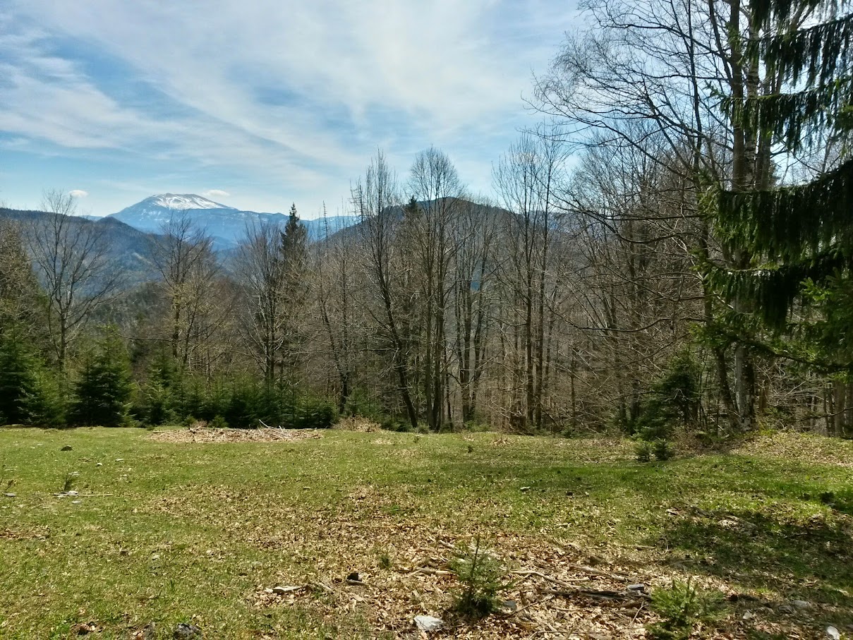 lh4.googleusercontent.com_-typed2folww_vtul2qqjw-i_aaaaaaaairu_u8lyh6fqhys_w1209-h907-no_20150425_133752_richtone_28hdr_29.jpg lh4.googleusercontent.com_-typed2folww_vtul2qqjw-i_aaaaaaaairu_u8lyh6fqhys_w1209-h907-no_20150425_133752_richtone_28hdr_29.jpg