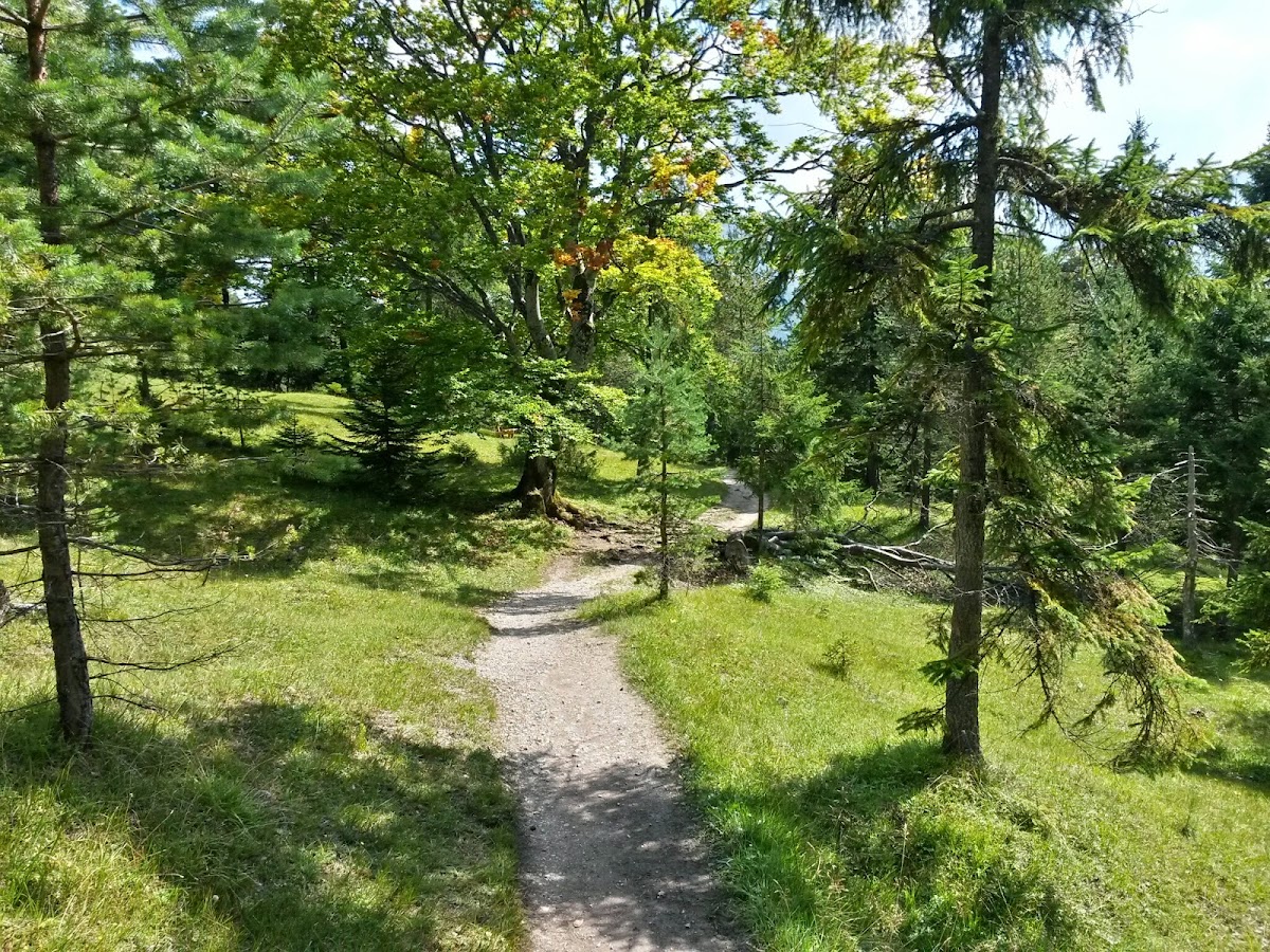 lh6.googleusercontent.com_-2q_ycdl0_sm_vasabiarw_i_aaaaaaaacii_rtmrwrunkwc_w1200-h900-no_20140906_134410_richtone_28hdr_29.jpg lh6.googleusercontent.com_-2q_ycdl0_sm_vasabiarw_i_aaaaaaaacii_rtmrwrunkwc_w1200-h900-no_20140906_134410_richtone_28hdr_29.jpg