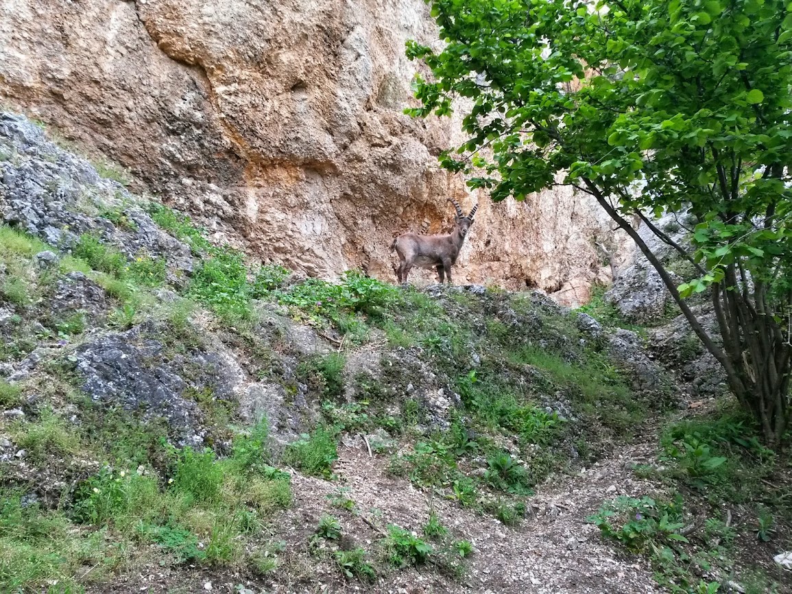 lh3.googleusercontent.com_-aqery45oehk_u4ch_uzwh9i_aaaaaaaayey_yqd6jrh6duu_w1155-h866-no_20140529_113824_richtone_2528hdr_2529.jpg lh3.googleusercontent.com_-aqery45oehk_u4ch_uzwh9i_aaaaaaaayey_yqd6jrh6duu_w1155-h866-no_20140529_113824_richtone_2528hdr_2529.jpg