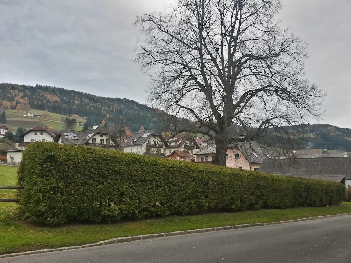 lh6.googleusercontent.com_-kgmft6q17nq_vj4ugyd-l5i_aaaaaaaao6i_bfanbzyt4te_w1209-h907-no_20151107_090339_richtone_2528hdr_2529.jpg lh6.googleusercontent.com_-kgmft6q17nq_vj4ugyd-l5i_aaaaaaaao6i_bfanbzyt4te_w1209-h907-no_20151107_090339_richtone_2528hdr_2529.jpg