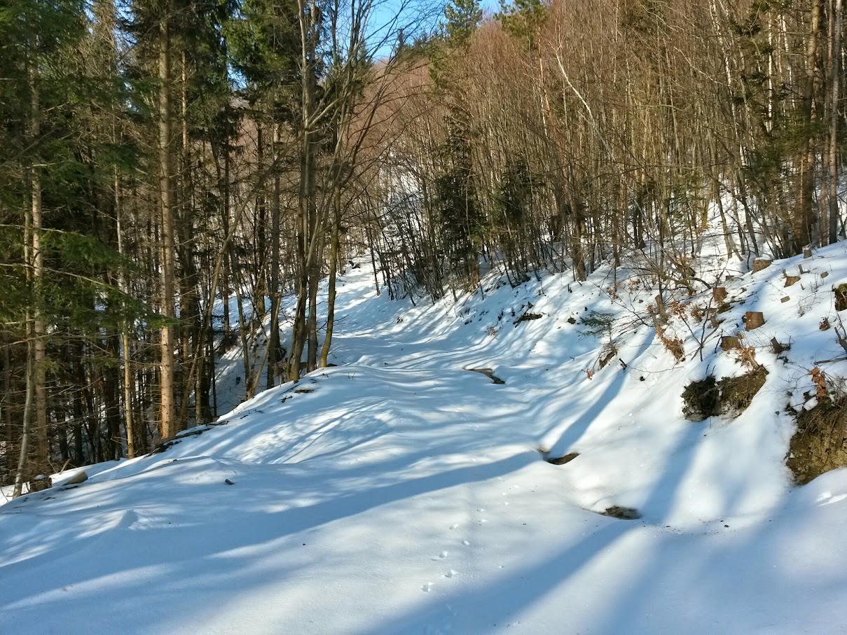 lh4.googleusercontent.com_-b3dh5q76any_vn9n4pajk8i_aaaaaaaahbs_-tmmivsu4n8_w1209-h907-no_20150214_133131_richtone_28hdr_29.jpg lh4.googleusercontent.com_-b3dh5q76any_vn9n4pajk8i_aaaaaaaahbs_-tmmivsu4n8_w1209-h907-no_20150214_133131_richtone_28hdr_29.jpg