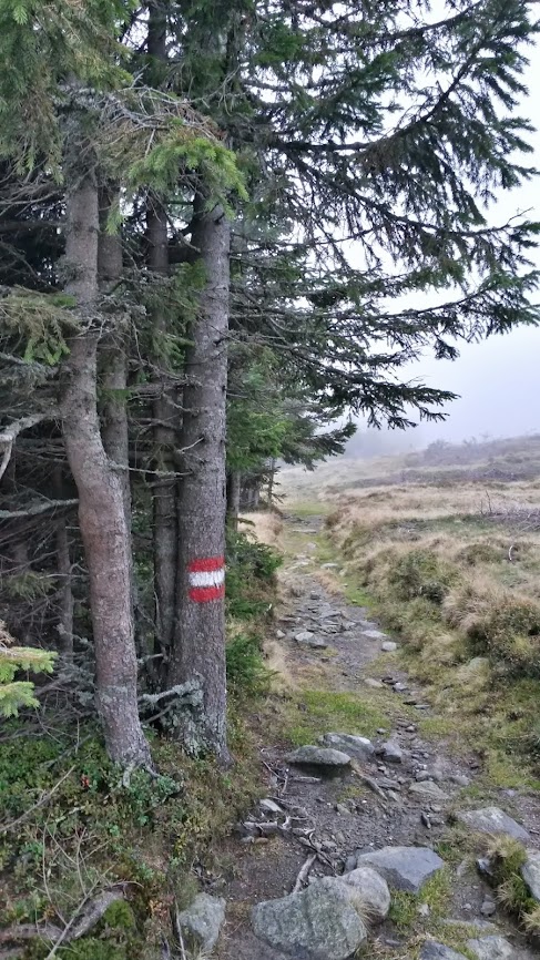 lh6.googleusercontent.com_-zr5zrns8oek_ulllpkpwfhi_aaaaaaaarae_jn4s68ejoy4_w487-h866-no_20131012_104645_richtone_2528hdr_2529.jpg lh6.googleusercontent.com_-zr5zrns8oek_ulllpkpwfhi_aaaaaaaarae_jn4s68ejoy4_w487-h866-no_20131012_104645_richtone_2528hdr_2529.jpg