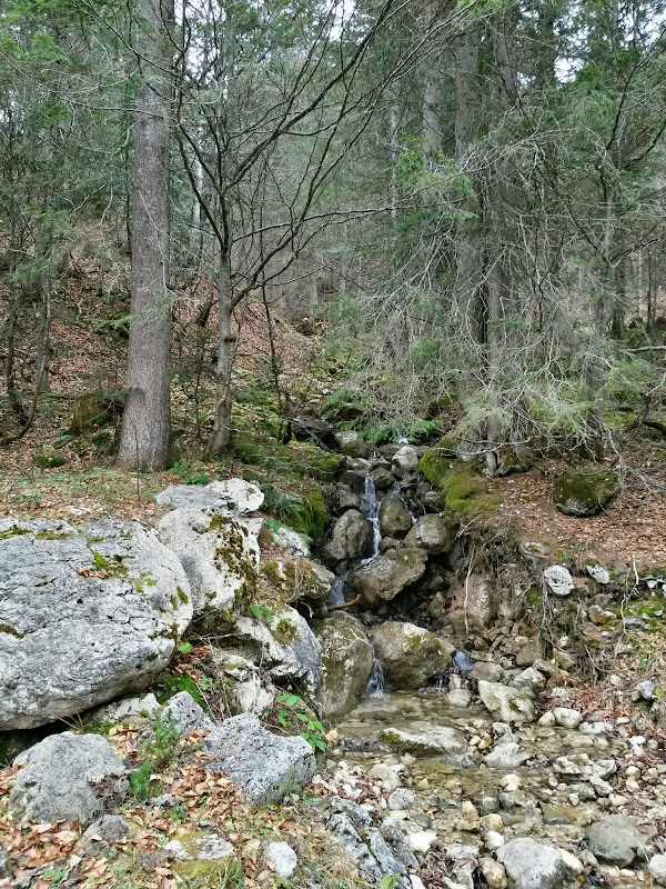 lh5.googleusercontent.com_-i_g6uplg7ea_vhnjag8g6ti_aaaaaaaafp8_hpplrszcfp8_w600-h800-no_20141124_133951_richtone_28hdr_29.jpg lh5.googleusercontent.com_-i_g6uplg7ea_vhnjag8g6ti_aaaaaaaafp8_hpplrszcfp8_w600-h800-no_20141124_133951_richtone_28hdr_29.jpg