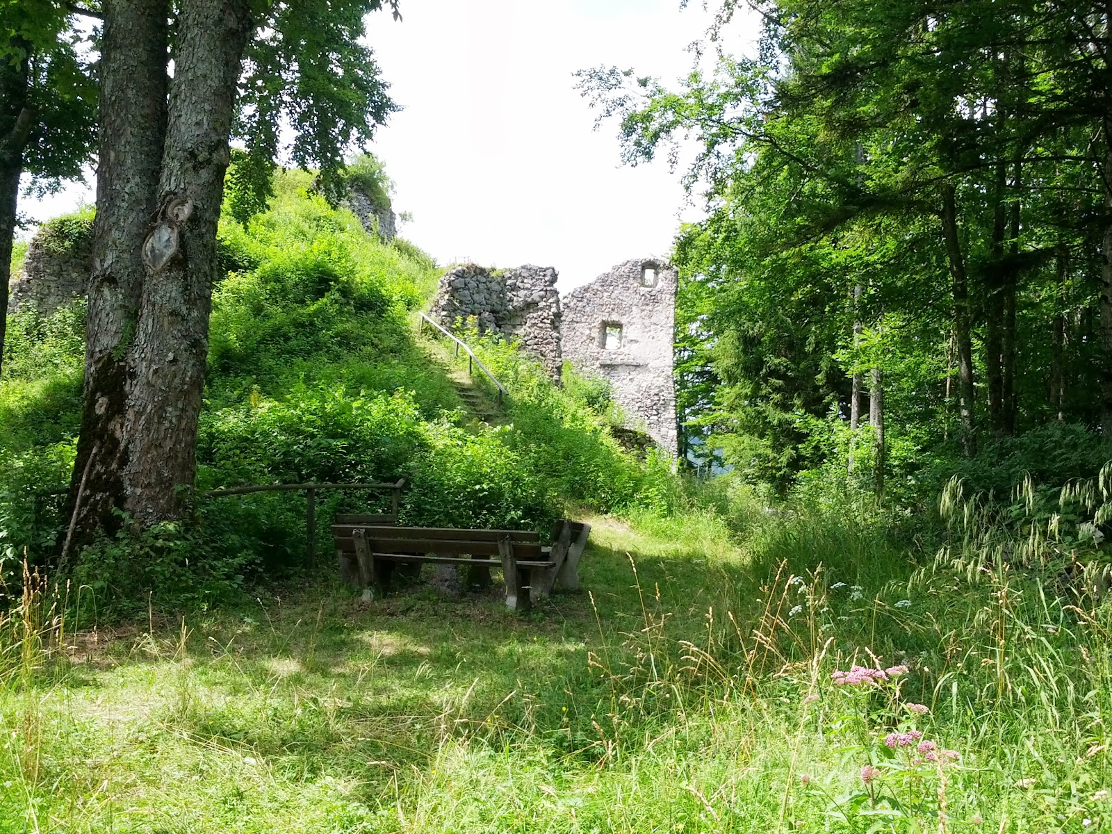 lh4.googleusercontent.com_-oaaewvak9fe_ueqzlndnngi_aaaaaaaaole_9jqj9qcuuyy_w1600-h1200-no_img_20130720_131432.jpg lh4.googleusercontent.com_-oaaewvak9fe_ueqzlndnngi_aaaaaaaaole_9jqj9qcuuyy_w1600-h1200-no_img_20130720_131432.jpg