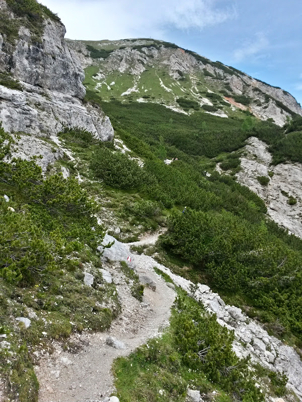 lh5.googleusercontent.com_-_twxaahpru0_vyk9xzn_-oi_aaaaaaaakxk_cgvaqna4cou_w600-h800-no_20150618_111544_richtone_2528hdr_2529.jpg lh5.googleusercontent.com_-_twxaahpru0_vyk9xzn_-oi_aaaaaaaakxk_cgvaqna4cou_w600-h800-no_20150618_111544_richtone_2528hdr_2529.jpg