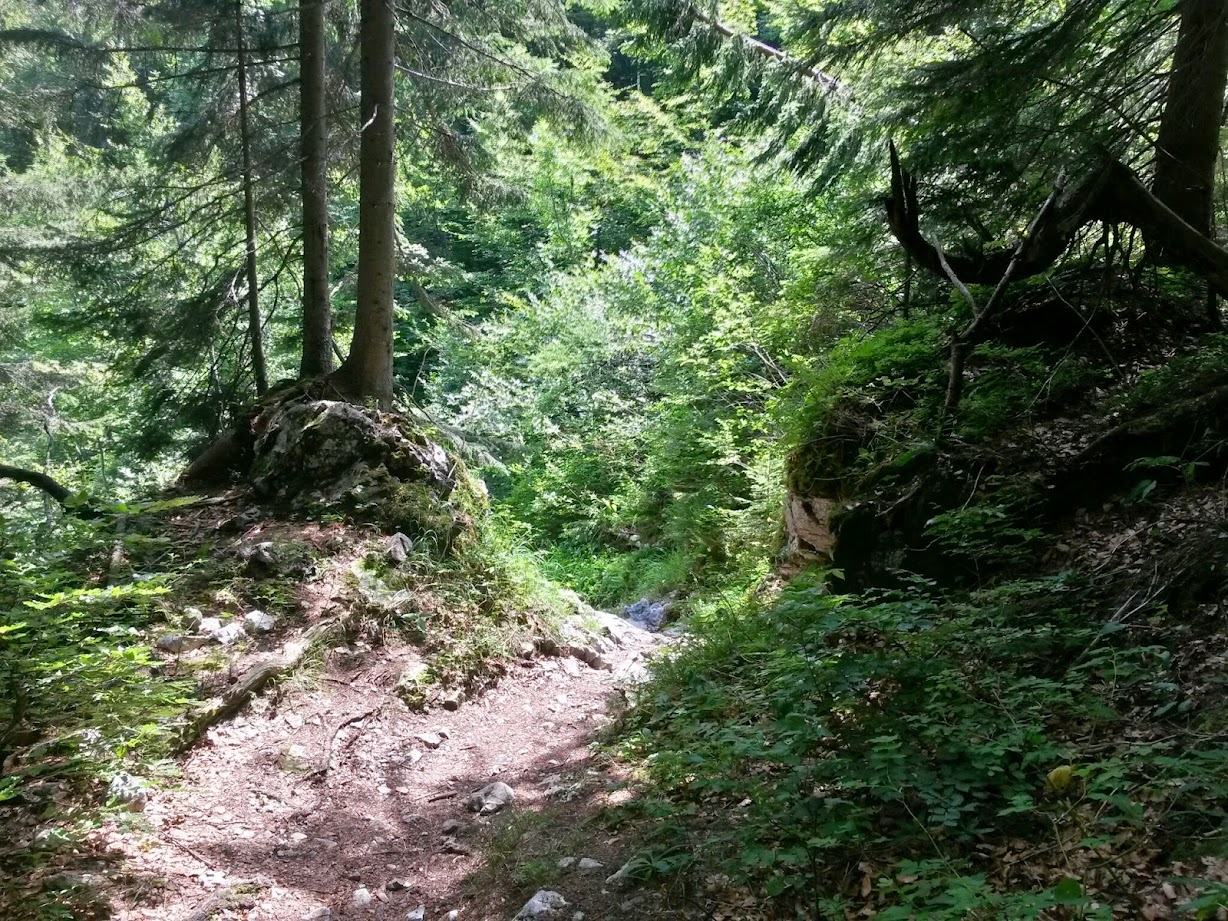 lh4.googleusercontent.com_-bvomvyyr7jg_u8qdjluz-ji_aaaaaaaabso_3z781yismzw_w1228-h921-no_20140719_134949_richtone_2528hdr_2529.jpg lh4.googleusercontent.com_-bvomvyyr7jg_u8qdjluz-ji_aaaaaaaabso_3z781yismzw_w1228-h921-no_20140719_134949_richtone_2528hdr_2529.jpg