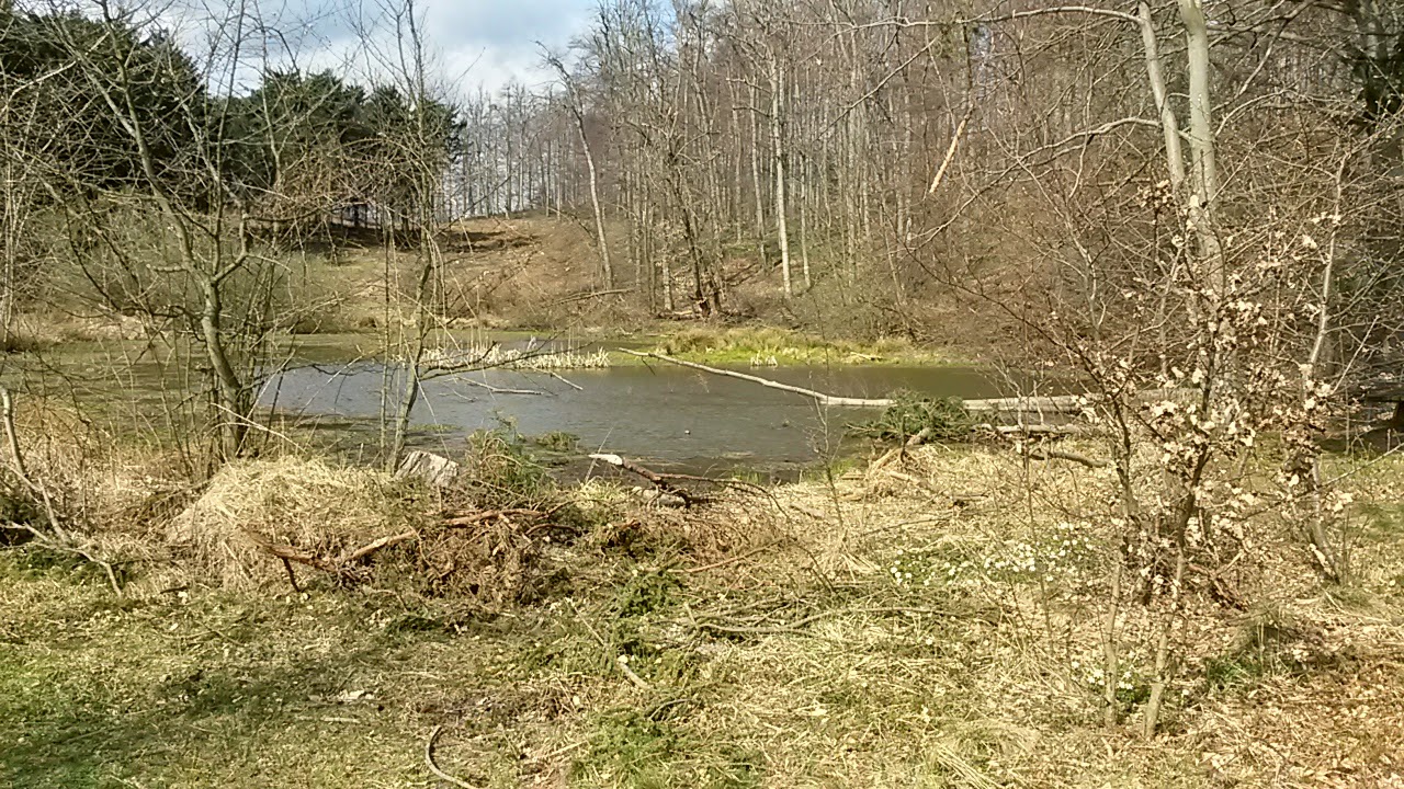 lh5.googleusercontent.com_-hrwsvmh1sik_vsu5riwsrvi_aaaaaaaaidu_rbatccxptwk_w1444-h813-no_20150413_102521_richtone_28hdr_29.jpg lh5.googleusercontent.com_-hrwsvmh1sik_vsu5riwsrvi_aaaaaaaaidu_rbatccxptwk_w1444-h813-no_20150413_102521_richtone_28hdr_29.jpg