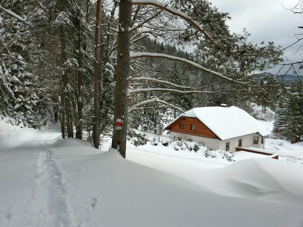 lh3.googleusercontent.com_-cejnv9uhw60_vkvq8t1hcji_aaaaaaaagxy_bzk4yhmpqt4_w1228-h921-no_20150106_101846_richtone_28hdr_29.jpg lh3.googleusercontent.com_-cejnv9uhw60_vkvq8t1hcji_aaaaaaaagxy_bzk4yhmpqt4_w1228-h921-no_20150106_101846_richtone_28hdr_29.jpg