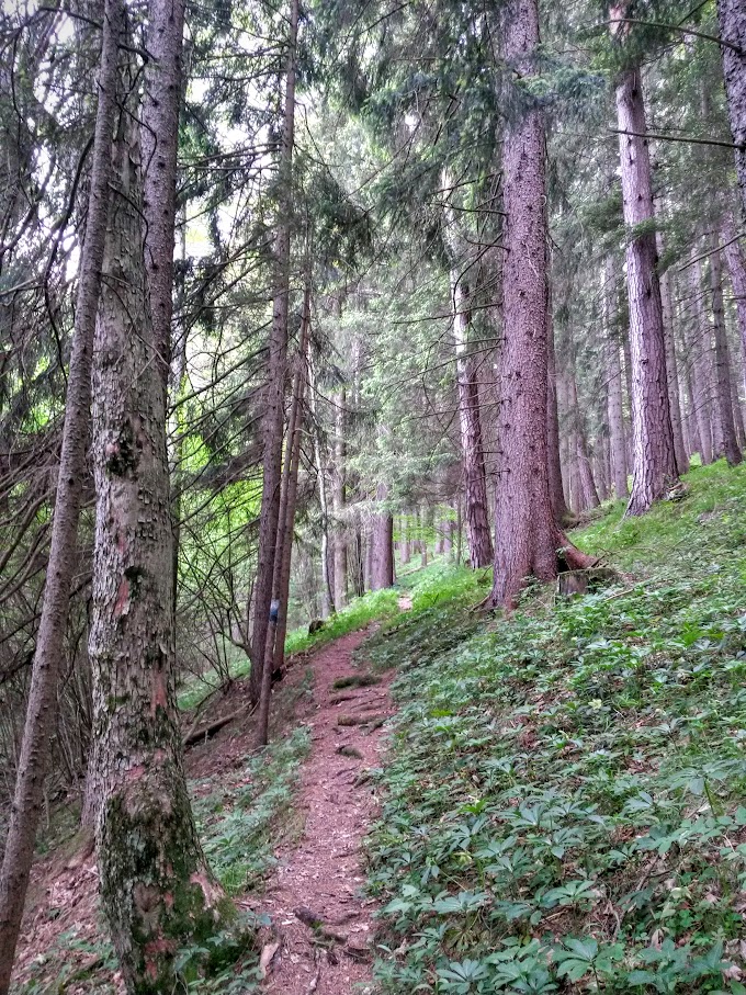 lh6.googleusercontent.com_-j3agdnvdaq4_vwntxjl_tzi_aaaaaaaajde_malwq9gds2g_w680-h907-no_20150530_092018_richtone_2528hdr_2529.jpg lh6.googleusercontent.com_-j3agdnvdaq4_vwntxjl_tzi_aaaaaaaajde_malwq9gds2g_w680-h907-no_20150530_092018_richtone_2528hdr_2529.jpg