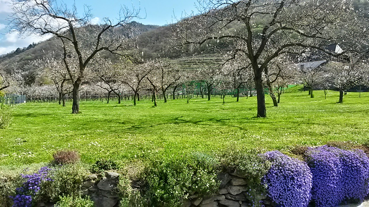 lh3.googleusercontent.com_-v_vpwqdv9ho_vsu5ywxhdoi_aaaaaaaaiec_gkirpl33nsy_w1444-h813-no_20150413_114057_richtone_28hdr_29.jpg lh3.googleusercontent.com_-v_vpwqdv9ho_vsu5ywxhdoi_aaaaaaaaiec_gkirpl33nsy_w1444-h813-no_20150413_114057_richtone_28hdr_29.jpg