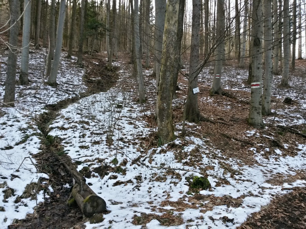 lh6.googleusercontent.com_-bv7p-g-x6cq_vkgztkdbd1i_aaaaaaaagqa_r9nvj8je8wo_w1228-h921-no_20150103_095701_richtone_28hdr_29.jpg lh6.googleusercontent.com_-bv7p-g-x6cq_vkgztkdbd1i_aaaaaaaagqa_r9nvj8je8wo_w1228-h921-no_20150103_095701_richtone_28hdr_29.jpg