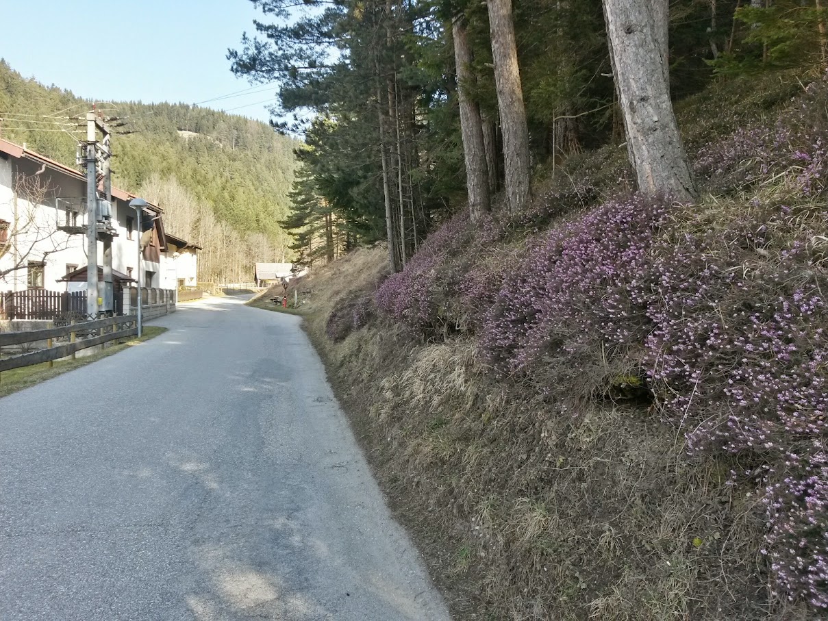 lh3.googleusercontent.com_-jm3mz0j-u94_vq2f84rhtwi_aaaaaaaah8s_cvo462g5iss_w1209-h907-no_20150321_092653_richtone_28hdr_29.jpg lh3.googleusercontent.com_-jm3mz0j-u94_vq2f84rhtwi_aaaaaaaah8s_cvo462g5iss_w1209-h907-no_20150321_092653_richtone_28hdr_29.jpg