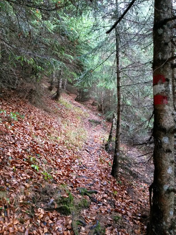 lh6.googleusercontent.com_-yeiy_ss0uzy_vkdz1lly7ni_aaaaaaaapca_tjqpzkvp2t4_w680-h907-no_20151114_115054_richtone_2528hdr_2529.jpg lh6.googleusercontent.com_-yeiy_ss0uzy_vkdz1lly7ni_aaaaaaaapca_tjqpzkvp2t4_w680-h907-no_20151114_115054_richtone_2528hdr_2529.jpg