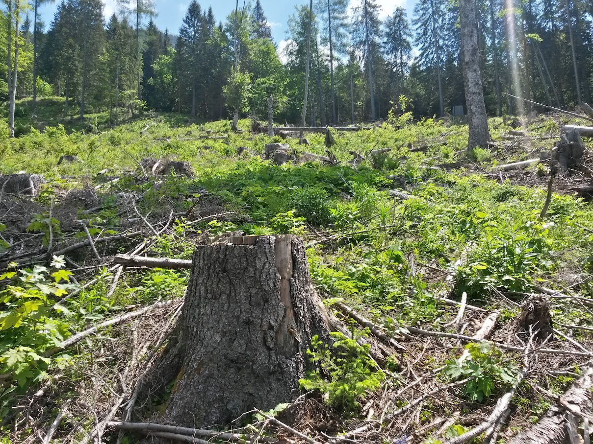 lh6.googleusercontent.com_-s2vihss19cq_vxmahuxx4-i_aaaaaaaajv4_vrwz7w8_lde_w1209-h907-no_20150606_115536_richtone_2528hdr_2529.jpg lh6.googleusercontent.com_-s2vihss19cq_vxmahuxx4-i_aaaaaaaajv4_vrwz7w8_lde_w1209-h907-no_20150606_115536_richtone_2528hdr_2529.jpg