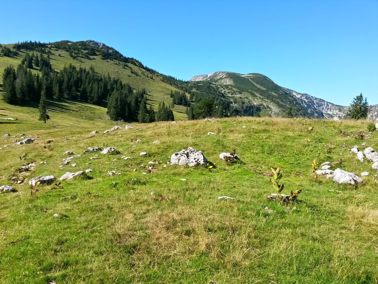 lh4.googleusercontent.com_-xxulffjimwo_u-zvw5suu1i_aaaaaaaab0e_-qgkb3f7nks_w1228-h921-no_20140809_092429_richtone_28hdr_29.jpg lh4.googleusercontent.com_-xxulffjimwo_u-zvw5suu1i_aaaaaaaab0e_-qgkb3f7nks_w1228-h921-no_20140809_092429_richtone_28hdr_29.jpg