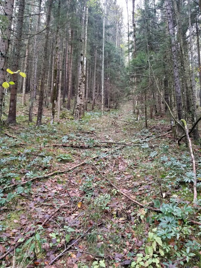 lh5.googleusercontent.com_-a82_be6oqtu_veu7ltwczvi_aaaaaaaaeey_n74qrsi4fcs_w691-h921-no_20141025_093358_richtone_28hdr_29.jpg lh5.googleusercontent.com_-a82_be6oqtu_veu7ltwczvi_aaaaaaaaeey_n74qrsi4fcs_w691-h921-no_20141025_093358_richtone_28hdr_29.jpg