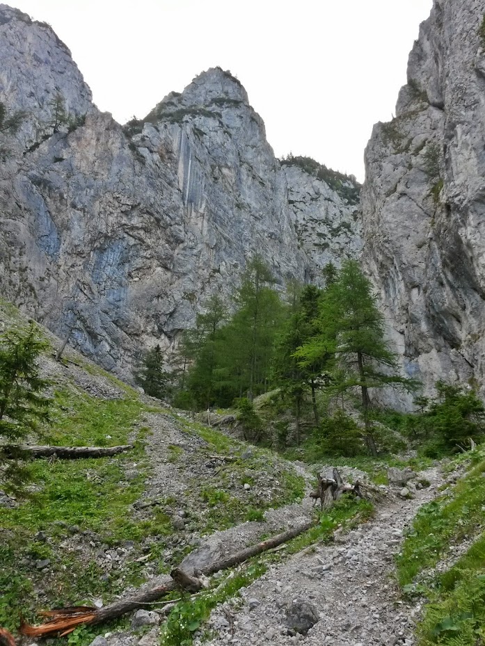 lh6.googleusercontent.com_-4e3vc0rlnkg_u7f-z1jiaui_aaaaaaaabb4_uzb6ah4bvwg_w697-h929-no_20140705_083351_richtone_2528hdr_2529.jpg lh6.googleusercontent.com_-4e3vc0rlnkg_u7f-z1jiaui_aaaaaaaabb4_uzb6ah4bvwg_w697-h929-no_20140705_083351_richtone_2528hdr_2529.jpg