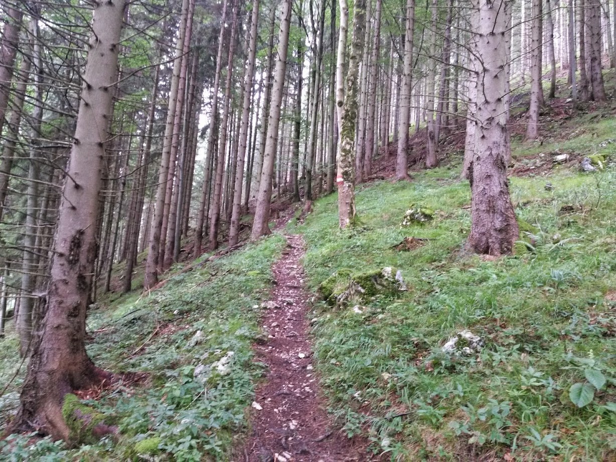 lh4.googleusercontent.com_-z7g1y9mjnl0_u_it85qizti_aaaaaaaache_smtbnijg_fq_w1228-h921-no_20140823_082652_richtone_28hdr_29.jpg lh4.googleusercontent.com_-z7g1y9mjnl0_u_it85qizti_aaaaaaaache_smtbnijg_fq_w1228-h921-no_20140823_082652_richtone_28hdr_29.jpg