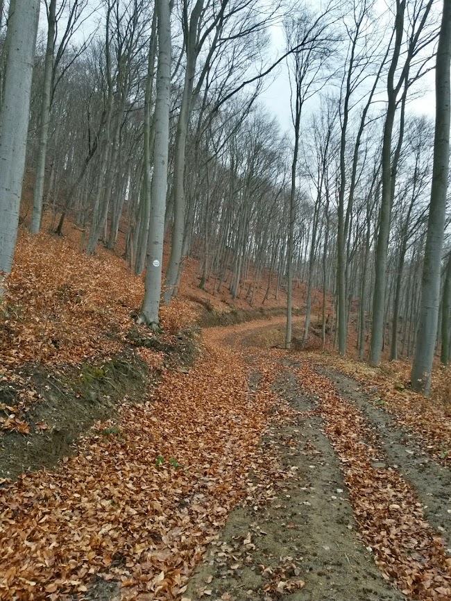 lh3.googleusercontent.com_-ewno9l2ulng_uwjeiwi9jhi_aaaaaaaavv8_pqxpowq5jlg_w650-h866-no_20140222_103037_richtone_2528hdr_2529.jpg lh3.googleusercontent.com_-ewno9l2ulng_uwjeiwi9jhi_aaaaaaaavv8_pqxpowq5jlg_w650-h866-no_20140222_103037_richtone_2528hdr_2529.jpg