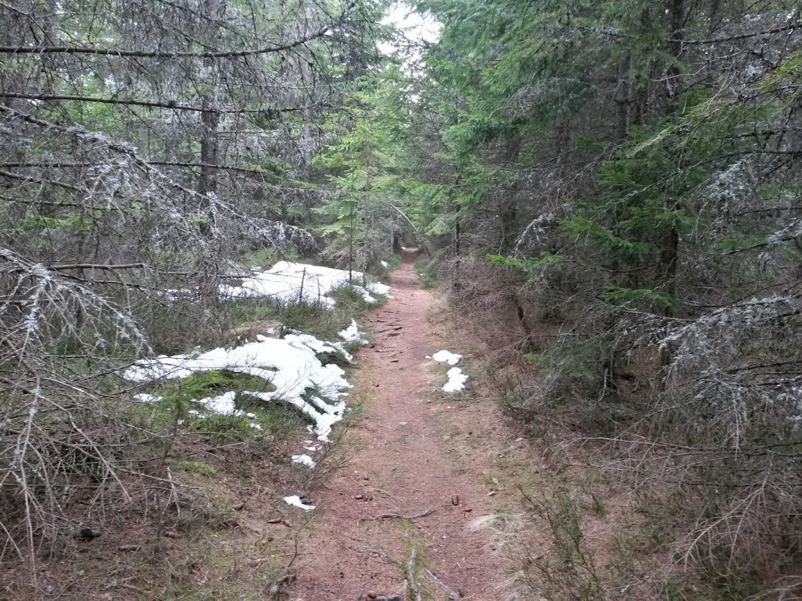 lh5.googleusercontent.com_-bo0aoji7in4_uysewcmrjbi_aaaaaaaav6a_tmjeglnq6c0_w1155-h866-no_20140315_092158_richtone_2528hdr_2529.jpg lh5.googleusercontent.com_-bo0aoji7in4_uysewcmrjbi_aaaaaaaav6a_tmjeglnq6c0_w1155-h866-no_20140315_092158_richtone_2528hdr_2529.jpg