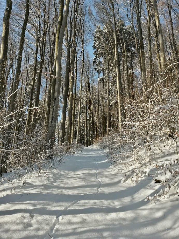 lh4.googleusercontent.com_-q3hwyy0no3y_vj62dvbkjli_aaaaaaaagwi_xdvwng8du9q_w691-h921-no_20141227_094723_richtone_28hdr_29.jpg lh4.googleusercontent.com_-q3hwyy0no3y_vj62dvbkjli_aaaaaaaagwi_xdvwng8du9q_w691-h921-no_20141227_094723_richtone_28hdr_29.jpg