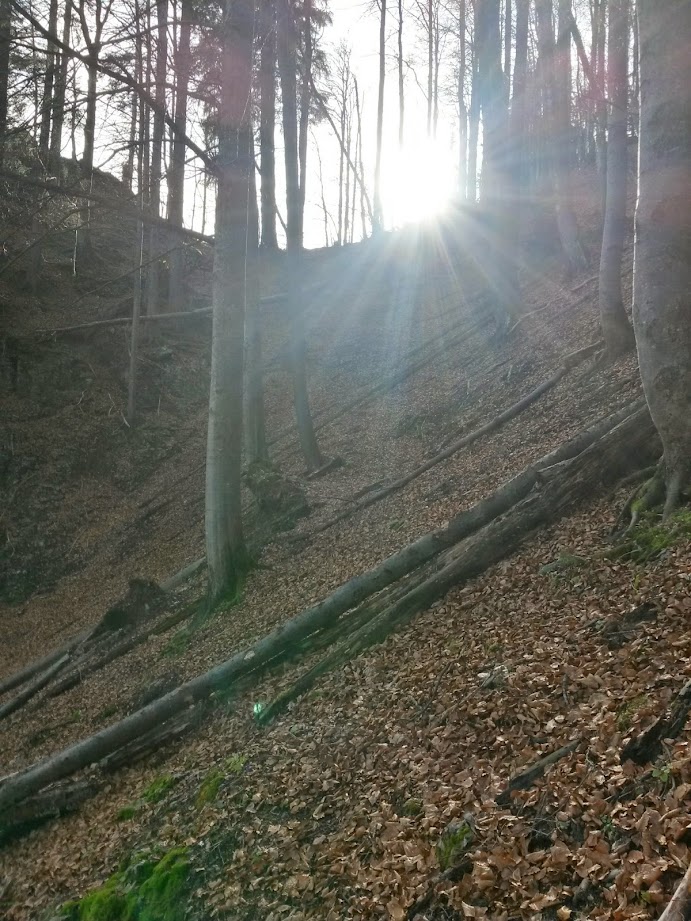 lh3.googleusercontent.com_-hnhrqps2dqy_vgdsx48nb6i_aaaaaaaae6y_ejkccxnthj4_w691-h921-no_20141115_111544_richtone_28hdr_29.jpg lh3.googleusercontent.com_-hnhrqps2dqy_vgdsx48nb6i_aaaaaaaae6y_ejkccxnthj4_w691-h921-no_20141115_111544_richtone_28hdr_29.jpg