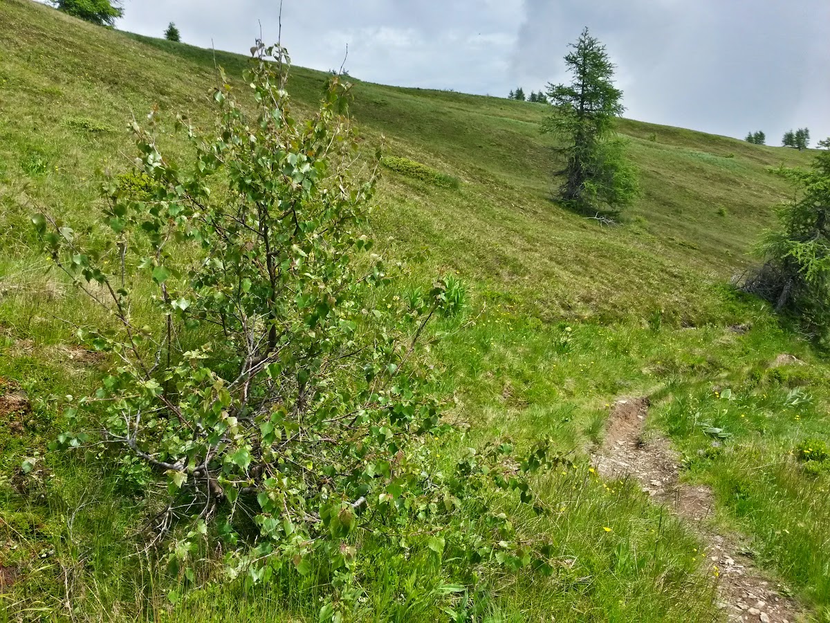 lh5.googleusercontent.com_-_wrrj3eutq8_vx6netjwlgi_aaaaaaaakf0_6mebvuecoqi_w1200-h900-no_20150615_121314_richtone_2528hdr_2529.jpg lh5.googleusercontent.com_-_wrrj3eutq8_vx6netjwlgi_aaaaaaaakf0_6mebvuecoqi_w1200-h900-no_20150615_121314_richtone_2528hdr_2529.jpg