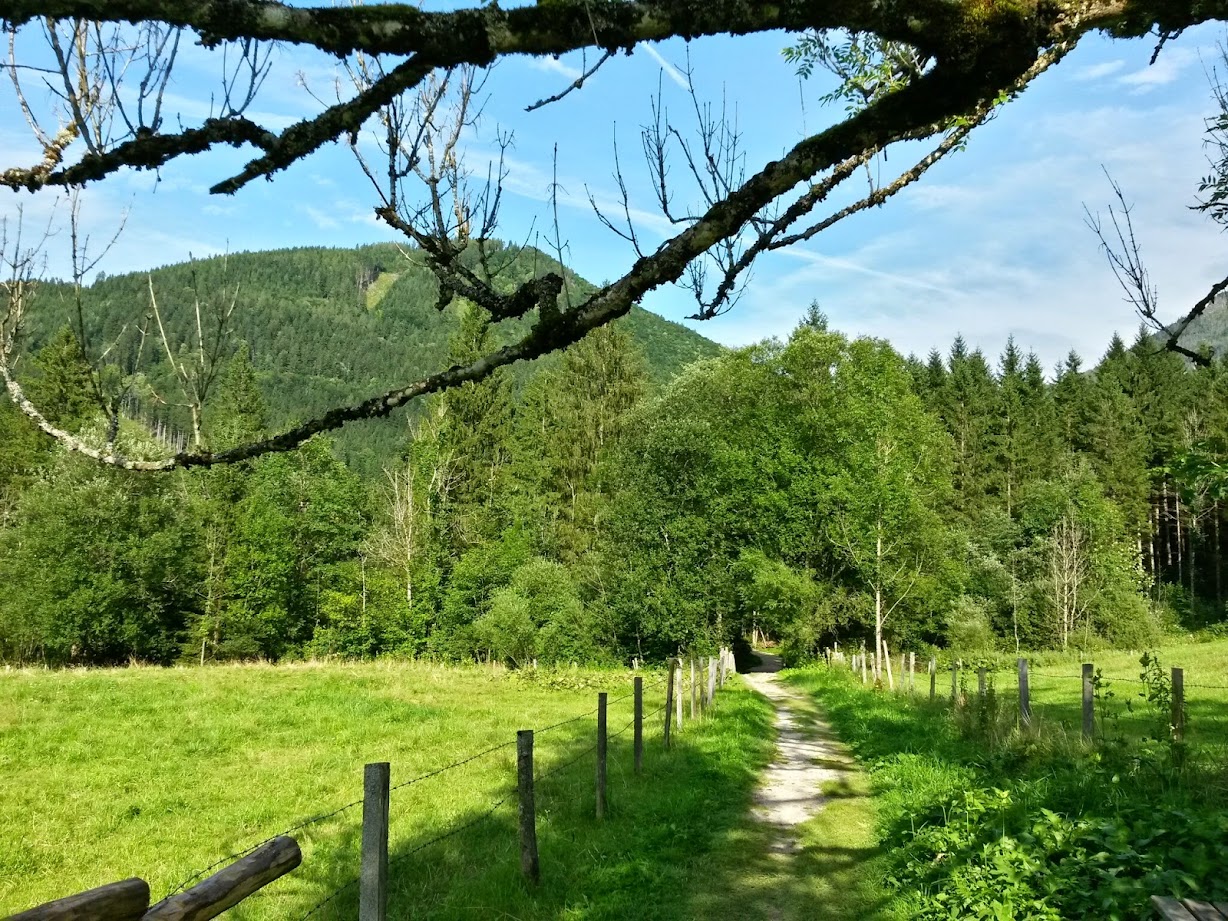 lh3.googleusercontent.com_-tlxyu_r_jb4_u-zwfhkejni_aaaaaaaab5i_cp86epvhpn4_w1228-h921-no_20140809_165755_richtone_28hdr_29.jpg lh3.googleusercontent.com_-tlxyu_r_jb4_u-zwfhkejni_aaaaaaaab5i_cp86epvhpn4_w1228-h921-no_20140809_165755_richtone_28hdr_29.jpg