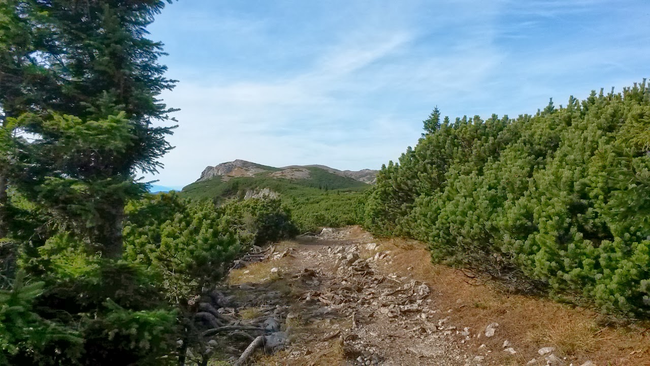 lh4.googleusercontent.com_-9avwyshre3w_um0dgixvcmi_aaaaaaaardq_ckvgyv98fqm_w1280-h720-no_20131027_095109.jpg lh4.googleusercontent.com_-9avwyshre3w_um0dgixvcmi_aaaaaaaardq_ckvgyv98fqm_w1280-h720-no_20131027_095109.jpg