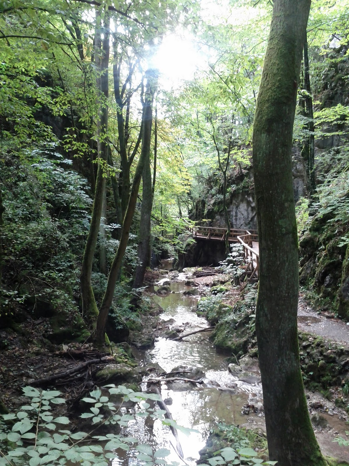 lh3.googleusercontent.com_-z6cua80pj3g_tlnxkygay7i_aaaaaaaaao8_ojik28cz3au_w1200-h1600-no_img_20110828_082246.jpg lh3.googleusercontent.com_-z6cua80pj3g_tlnxkygay7i_aaaaaaaaao8_ojik28cz3au_w1200-h1600-no_img_20110828_082246.jpg