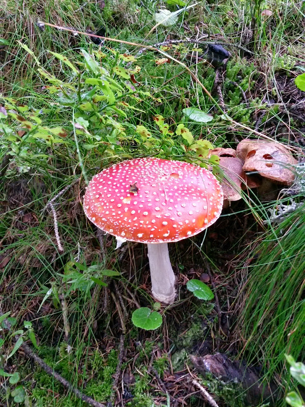 lh4.googleusercontent.com_-wknb24awthg_vbbm0_krm4i_aaaaaaaadaw_9udmtxyrqes_w600-h800-no_20140910_125941_richtone_28hdr_29.jpg lh4.googleusercontent.com_-wknb24awthg_vbbm0_krm4i_aaaaaaaadaw_9udmtxyrqes_w600-h800-no_20140910_125941_richtone_28hdr_29.jpg