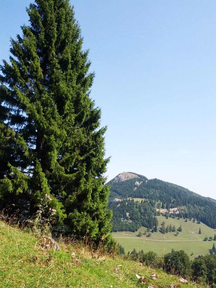 lh4.googleusercontent.com_-obazjipwaqw_uhczzmrbeqi_aaaaaaaapy4_e2enyuggmfu_w900-h1200-no_img_20130818_112430.jpg lh4.googleusercontent.com_-obazjipwaqw_uhczzmrbeqi_aaaaaaaapy4_e2enyuggmfu_w900-h1200-no_img_20130818_112430.jpg