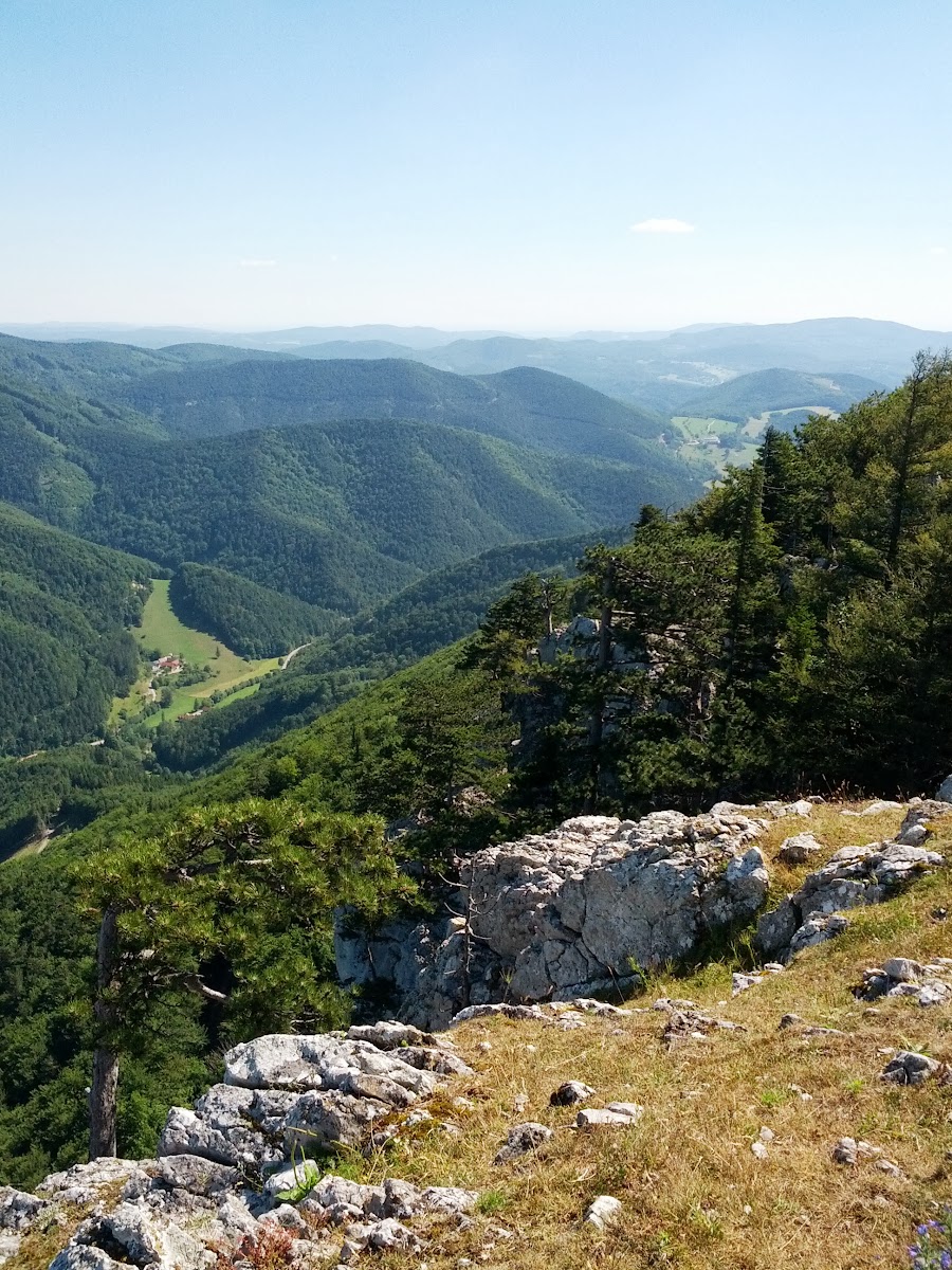 lh4.googleusercontent.com_-jvut4qtfmga_ueu_hjhcexi_aaaaaaaaooc_w6_lmvkusa_w900-h1200-no_img_20130721_100625.jpg lh4.googleusercontent.com_-jvut4qtfmga_ueu_hjhcexi_aaaaaaaaooc_w6_lmvkusa_w900-h1200-no_img_20130721_100625.jpg