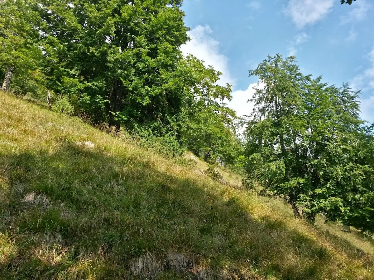 lh5.googleusercontent.com_-hshrgimfqz0_var_cxgq76i_aaaaaaaacci_ba2i-ne61_e_w1200-h900-no_20140906_095957_richtone_28hdr_29.jpg lh5.googleusercontent.com_-hshrgimfqz0_var_cxgq76i_aaaaaaaacci_ba2i-ne61_e_w1200-h900-no_20140906_095957_richtone_28hdr_29.jpg