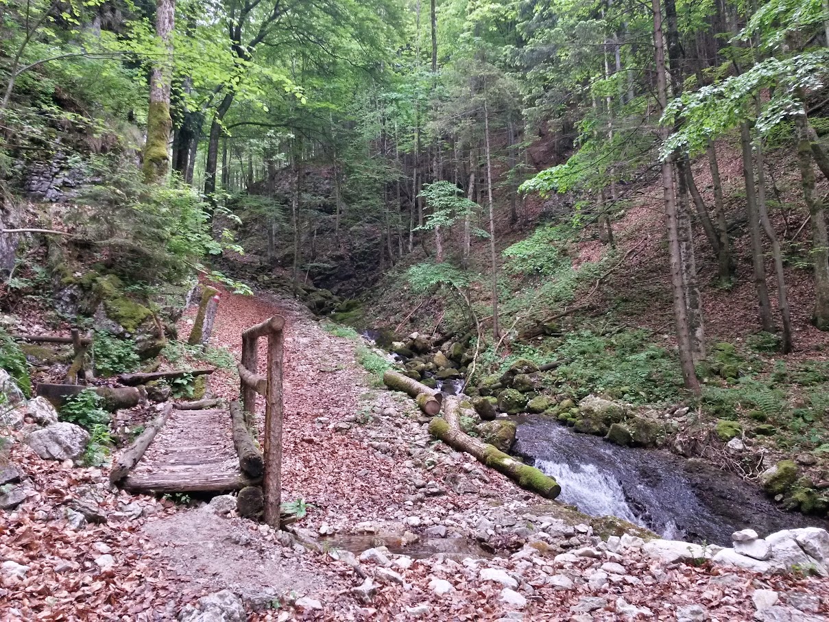 lh4.googleusercontent.com_-npi6qghfpfc_vvdetq_33_i_aaaaaaaajls_ipjn2t0vmpi_w1209-h907-no_20150516_101209_richtone_2528hdr_2529.jpg lh4.googleusercontent.com_-npi6qghfpfc_vvdetq_33_i_aaaaaaaajls_ipjn2t0vmpi_w1209-h907-no_20150516_101209_richtone_2528hdr_2529.jpg