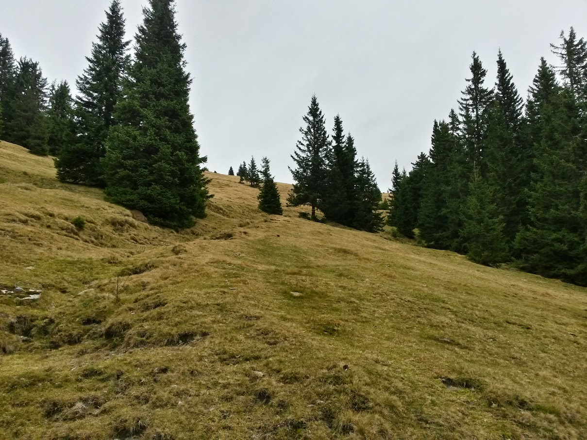 lh4.googleusercontent.com_-_-iyzbw1rgi_vj4ubfsgroi_aaaaaaaao6w_57uesevgw1a_w1209-h907-no_20151107_103709_richtone_2528hdr_2529.jpg lh4.googleusercontent.com_-_-iyzbw1rgi_vj4ubfsgroi_aaaaaaaao6w_57uesevgw1a_w1209-h907-no_20151107_103709_richtone_2528hdr_2529.jpg