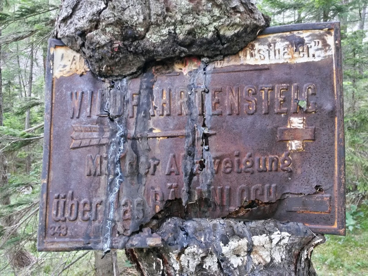 lh6.googleusercontent.com_-a7wot1avyvg_u7f8wlcqkli_aaaaaaaaa6m_xbszswztqky_w1239-h929-no_20140705_084820_richtone_2528hdr_2529.jpg lh6.googleusercontent.com_-a7wot1avyvg_u7f8wlcqkli_aaaaaaaaa6m_xbszswztqky_w1239-h929-no_20140705_084820_richtone_2528hdr_2529.jpg