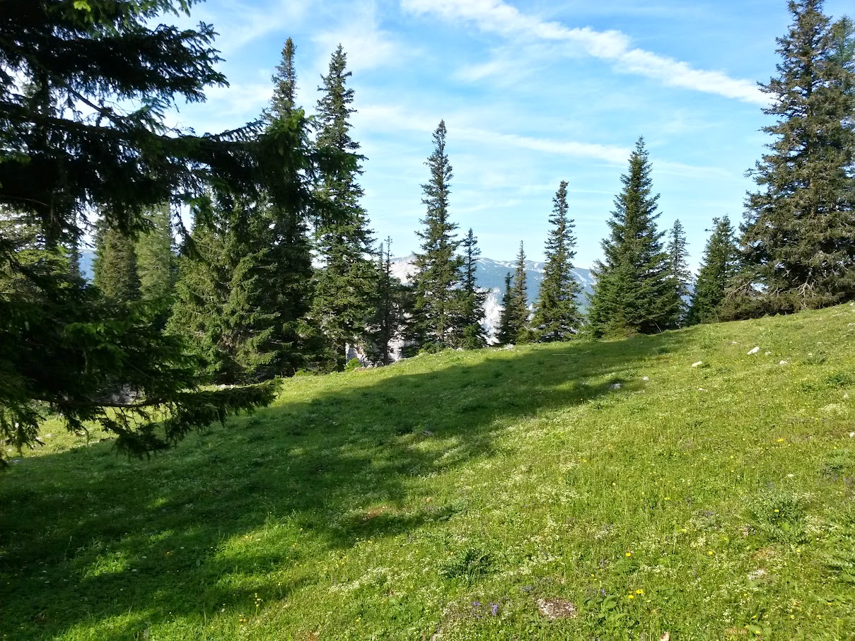 lh4.googleusercontent.com_-tifgruhyyj8_vzfmjey92ri_aaaaaaaamdw_n3nhorhbywc_w1209-h907-no_20150704_082821_richtone_2528hdr_2529.jpg lh4.googleusercontent.com_-tifgruhyyj8_vzfmjey92ri_aaaaaaaamdw_n3nhorhbywc_w1209-h907-no_20150704_082821_richtone_2528hdr_2529.jpg