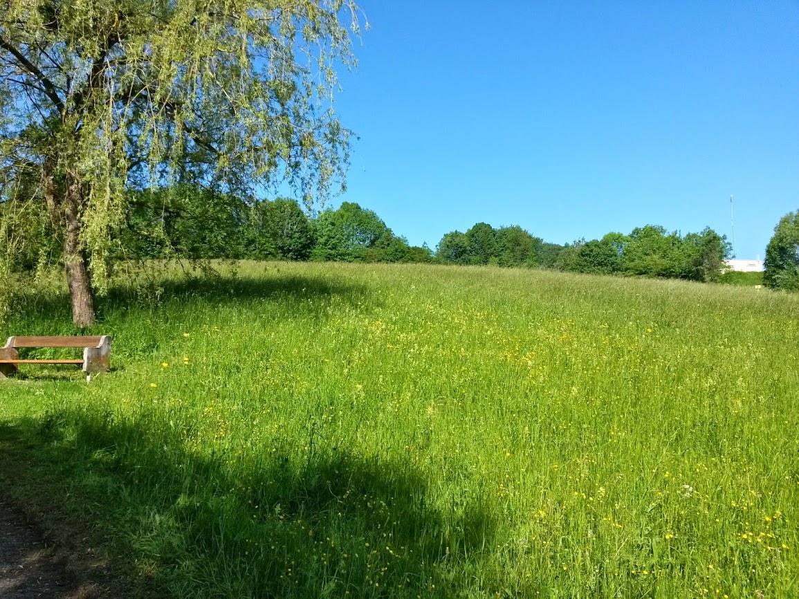 lh5.googleusercontent.com_-rxsriqrod8u_u4cguk05aoi_aaaaaaaayo4_xli8b1ofays_w1155-h866-no_20140524_091142_richtone_2528hdr_2529.jpg lh5.googleusercontent.com_-rxsriqrod8u_u4cguk05aoi_aaaaaaaayo4_xli8b1ofays_w1155-h866-no_20140524_091142_richtone_2528hdr_2529.jpg