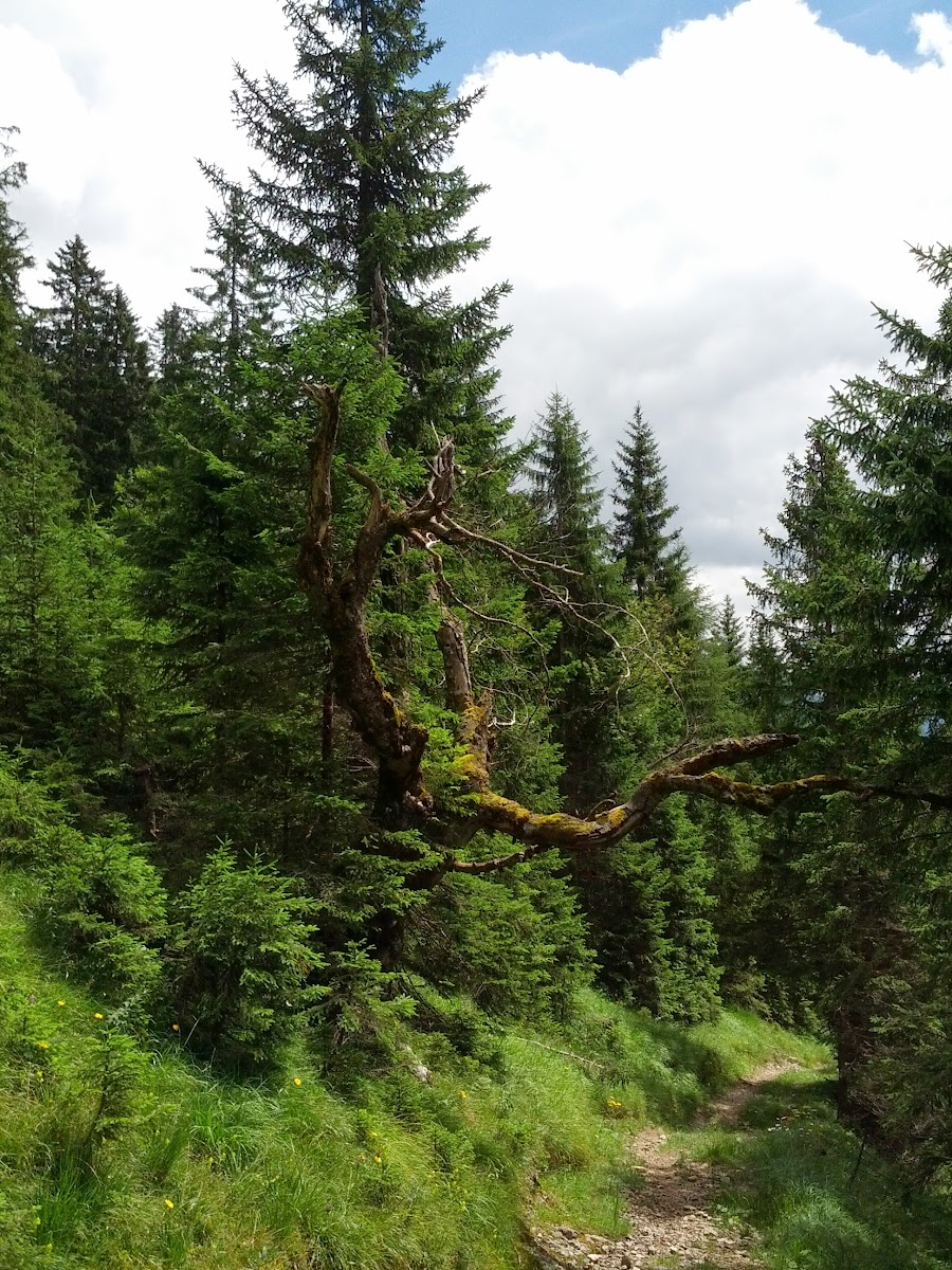 lh4.googleusercontent.com_-8ohj7urqek0_uferjizanri_aaaaaaaao-o_ietrpca2p-m_w900-h1200-no_img_20130730_124315.jpg lh4.googleusercontent.com_-8ohj7urqek0_uferjizanri_aaaaaaaao-o_ietrpca2p-m_w900-h1200-no_img_20130730_124315.jpg