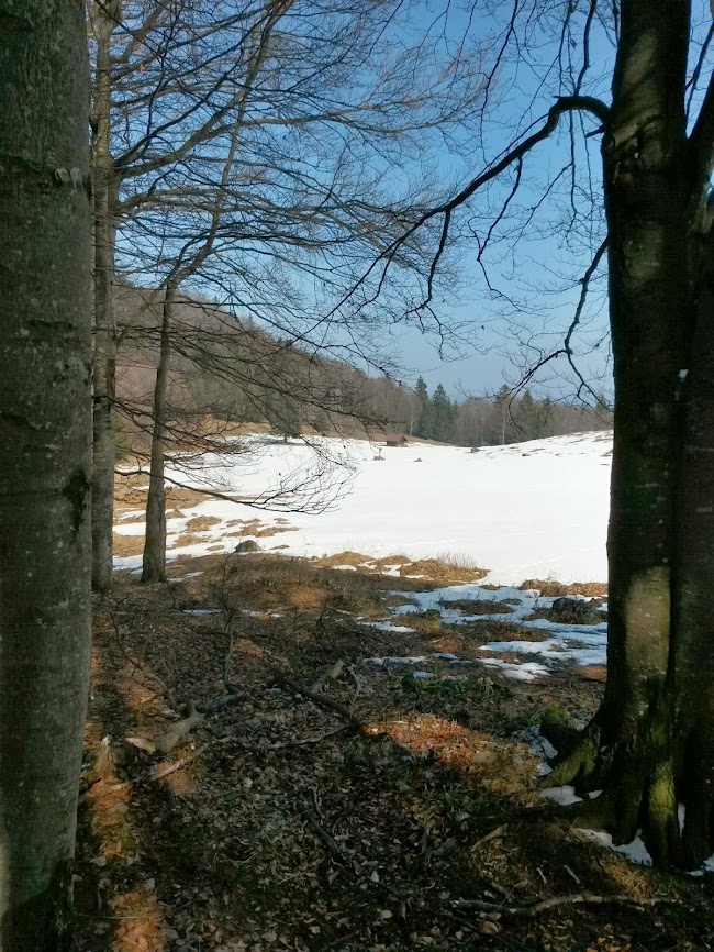 lh6.googleusercontent.com_-izekj6k7cns_uxssqg9wori_aaaaaaaavps_5jadhhpgq8o_w650-h866-no_20140308_115146_richtone_2528hdr_2529.jpg lh6.googleusercontent.com_-izekj6k7cns_uxssqg9wori_aaaaaaaavps_5jadhhpgq8o_w650-h866-no_20140308_115146_richtone_2528hdr_2529.jpg