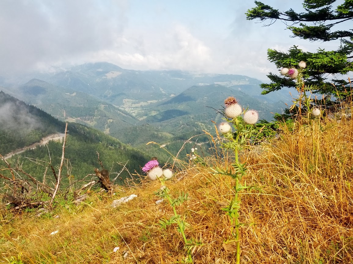 lh3.googleusercontent.com_-flpayyctxbq_ugyrwwl2nyi_aaaaaaaapy4_1jxaujz7p5s_w1155-h866-no_img_20130810_094824.jpg lh3.googleusercontent.com_-flpayyctxbq_ugyrwwl2nyi_aaaaaaaapy4_1jxaujz7p5s_w1155-h866-no_img_20130810_094824.jpg