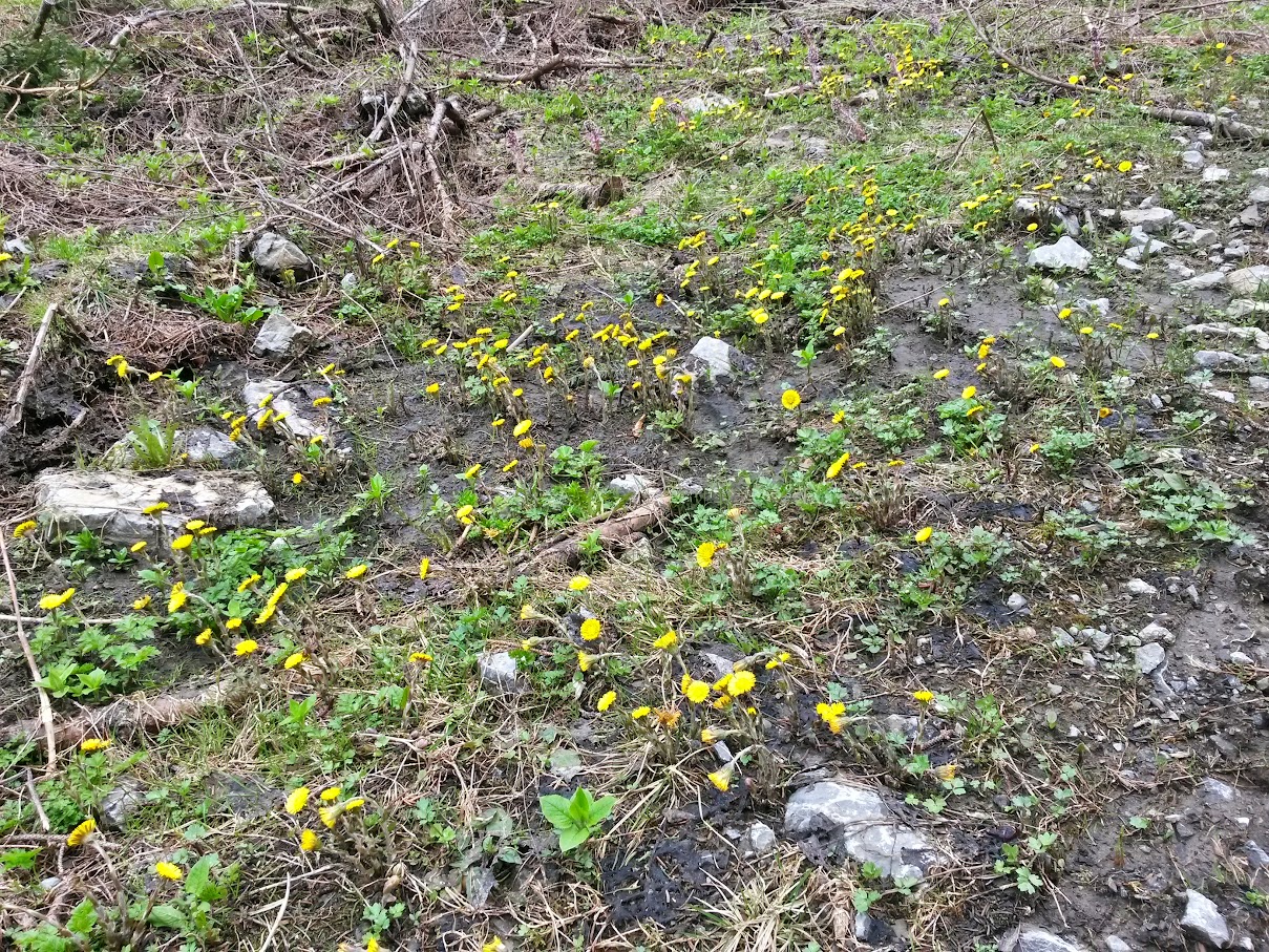 lh6.googleusercontent.com_-tibzzskcx-m_vvdd8svfvui_aaaaaaaajka_bvmrxsefua0_w1209-h907-no_20150516_125136_richtone_2528hdr_2529.jpg lh6.googleusercontent.com_-tibzzskcx-m_vvdd8svfvui_aaaaaaaajka_bvmrxsefua0_w1209-h907-no_20150516_125136_richtone_2528hdr_2529.jpg