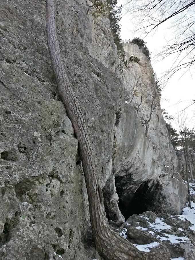 lh5.googleusercontent.com_-1vu1hsi_kvy_vnywvnlvm0i_aaaaaaaahuq_dxxhropgxnk_w680-h907-no_20150207_114011_richtone_28hdr_29.jpg lh5.googleusercontent.com_-1vu1hsi_kvy_vnywvnlvm0i_aaaaaaaahuq_dxxhropgxnk_w680-h907-no_20150207_114011_richtone_28hdr_29.jpg