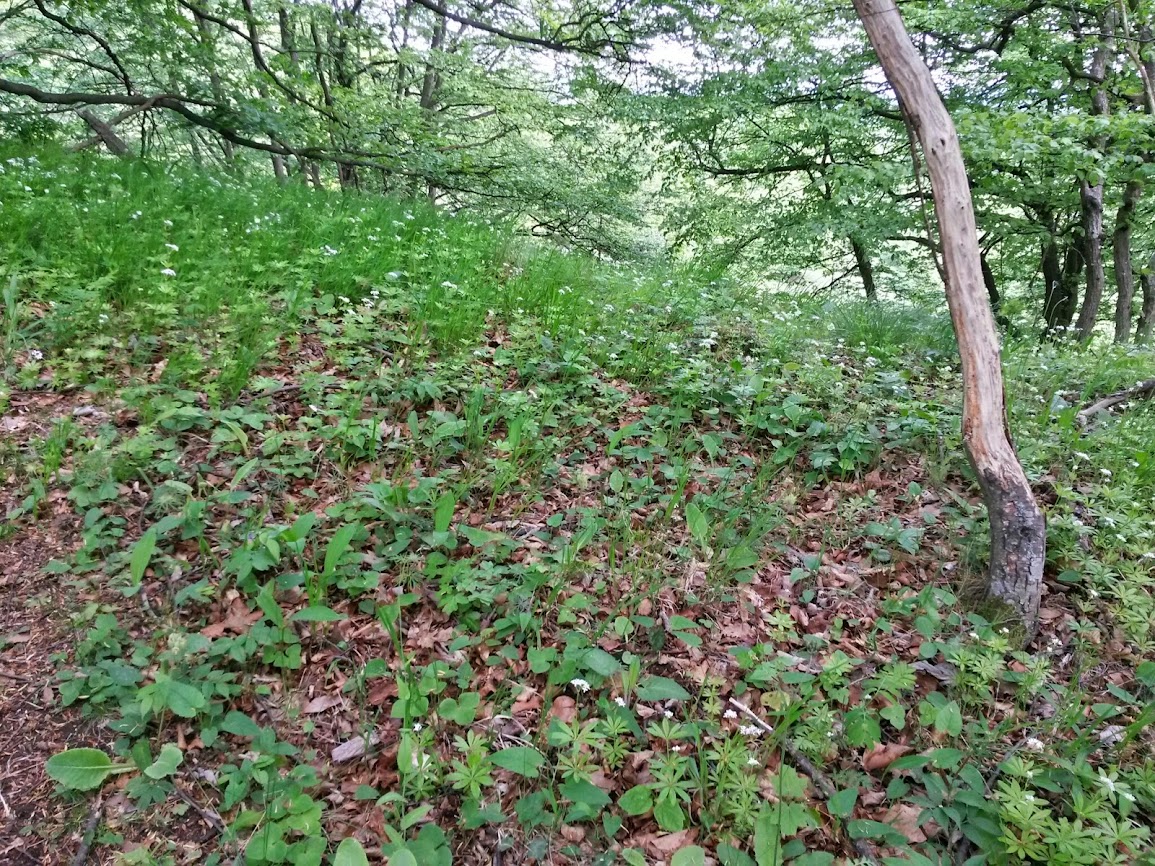 lh3.googleusercontent.com_-kj-2bnno_a0_u2zrzpn57qi_aaaaaaaaxdk_ev6zbezlfqy_w1155-h866-no_20140504_125615_richtone_2528hdr_2529.jpg lh3.googleusercontent.com_-kj-2bnno_a0_u2zrzpn57qi_aaaaaaaaxdk_ev6zbezlfqy_w1155-h866-no_20140504_125615_richtone_2528hdr_2529.jpg