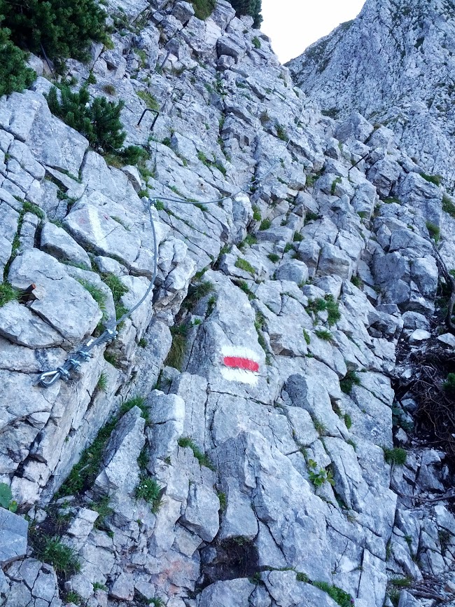 lh3.googleusercontent.com_-1sdgcyqoi7m_ug-hiqff0gi_aaaaaaaapri_gjxrlsynona_w650-h866-no_img_20130817_093657.jpg lh3.googleusercontent.com_-1sdgcyqoi7m_ug-hiqff0gi_aaaaaaaapri_gjxrlsynona_w650-h866-no_img_20130817_093657.jpg