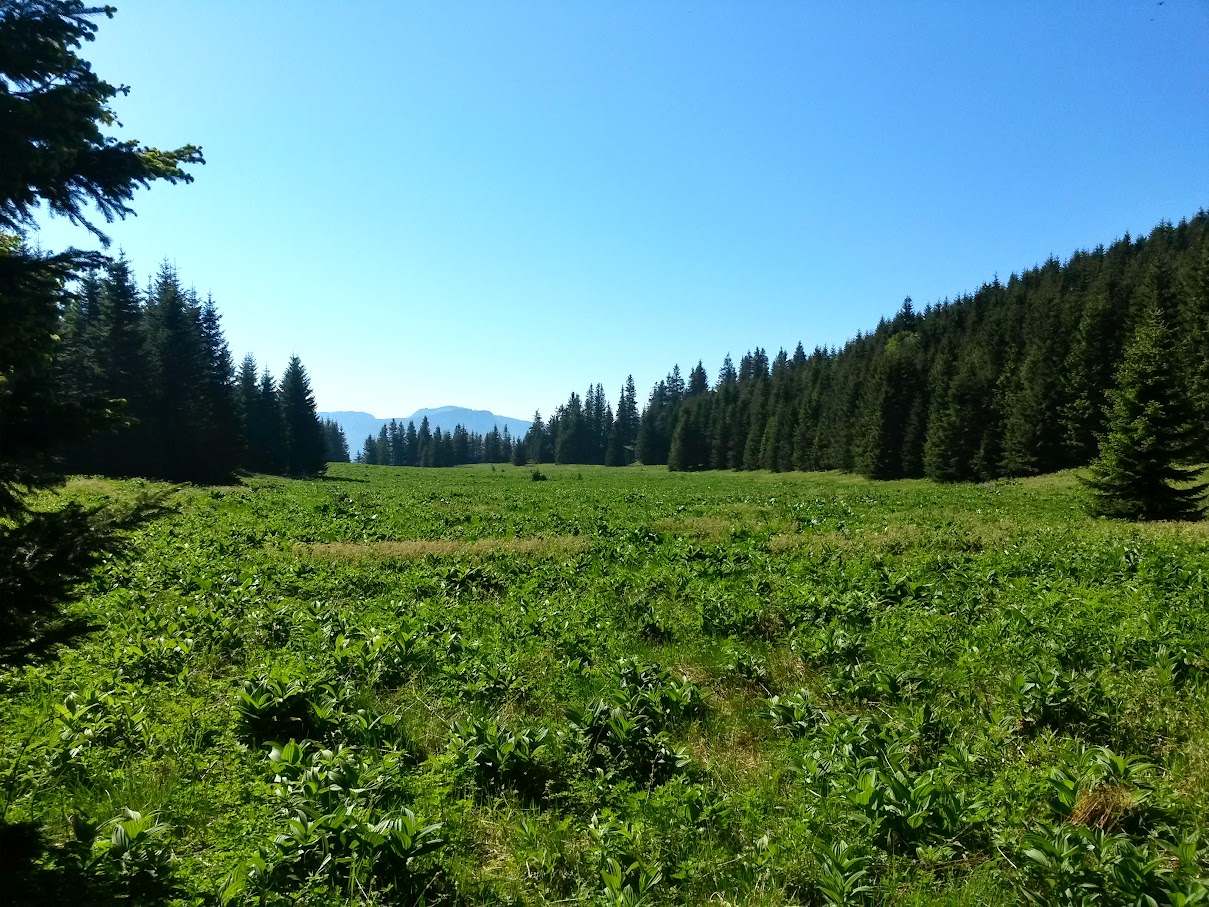 lh4.googleusercontent.com_-cgtfp6a8a_y_vxl_wzefrii_aaaaaaaajzw_aiwqjylzn3y_w1209-h907-no_20150606_092937_richtone_2528hdr_2529.jpg lh4.googleusercontent.com_-cgtfp6a8a_y_vxl_wzefrii_aaaaaaaajzw_aiwqjylzn3y_w1209-h907-no_20150606_092937_richtone_2528hdr_2529.jpg