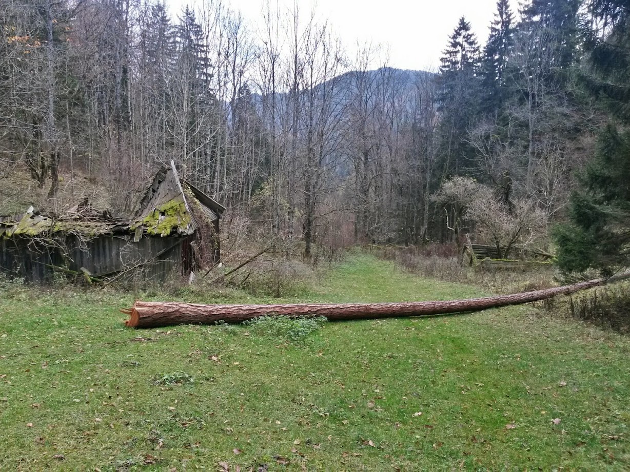 lh5.googleusercontent.com_-frkslbqyzu8_vgdssizf8ii_aaaaaaaae38_q6j6lz9urv0_w1228-h921-no_20141115_100403_richtone_28hdr_29.jpg lh5.googleusercontent.com_-frkslbqyzu8_vgdssizf8ii_aaaaaaaae38_q6j6lz9urv0_w1228-h921-no_20141115_100403_richtone_28hdr_29.jpg